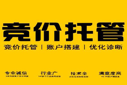 SEM推广策略如何制定——以某电商平台的成功案例为例